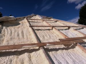 WhatsApp Image 2023-02-15 at 15.34.12 (5)